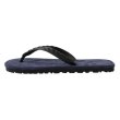 Photo1: flip-flops「JAPANESE ZORI」NAVY (1)