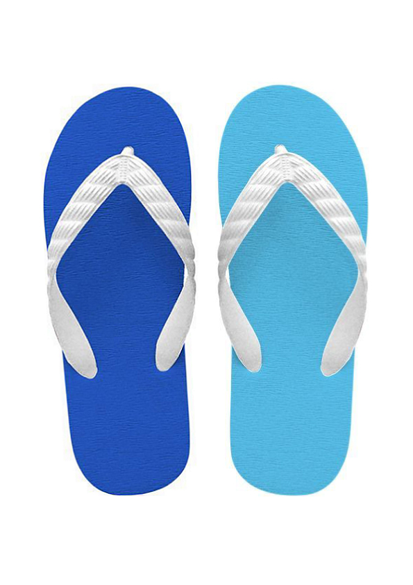 Photo1: Loyalblue×Aquablue (1)